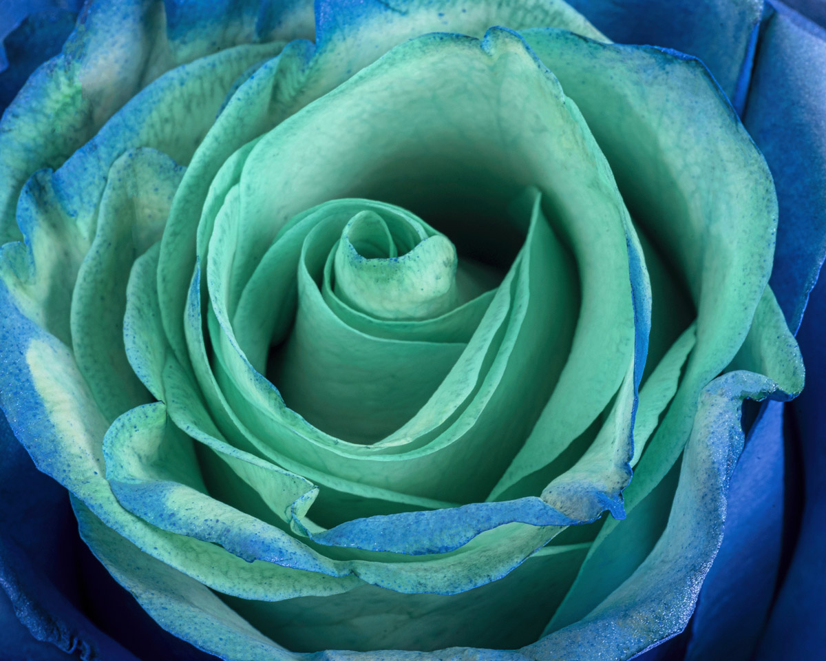 Blue Earth detail